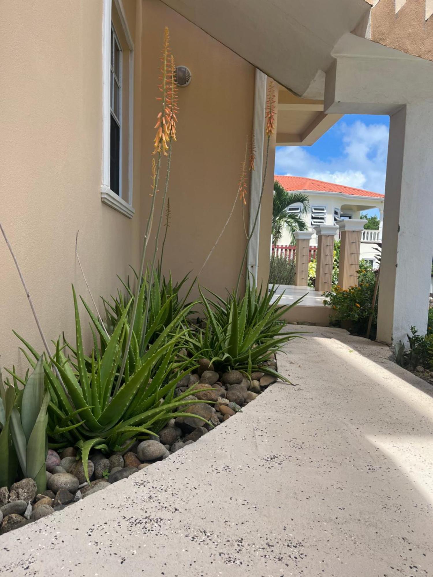 Apartmán Belle Breeze Haven Gros Islet Exteriér fotografie