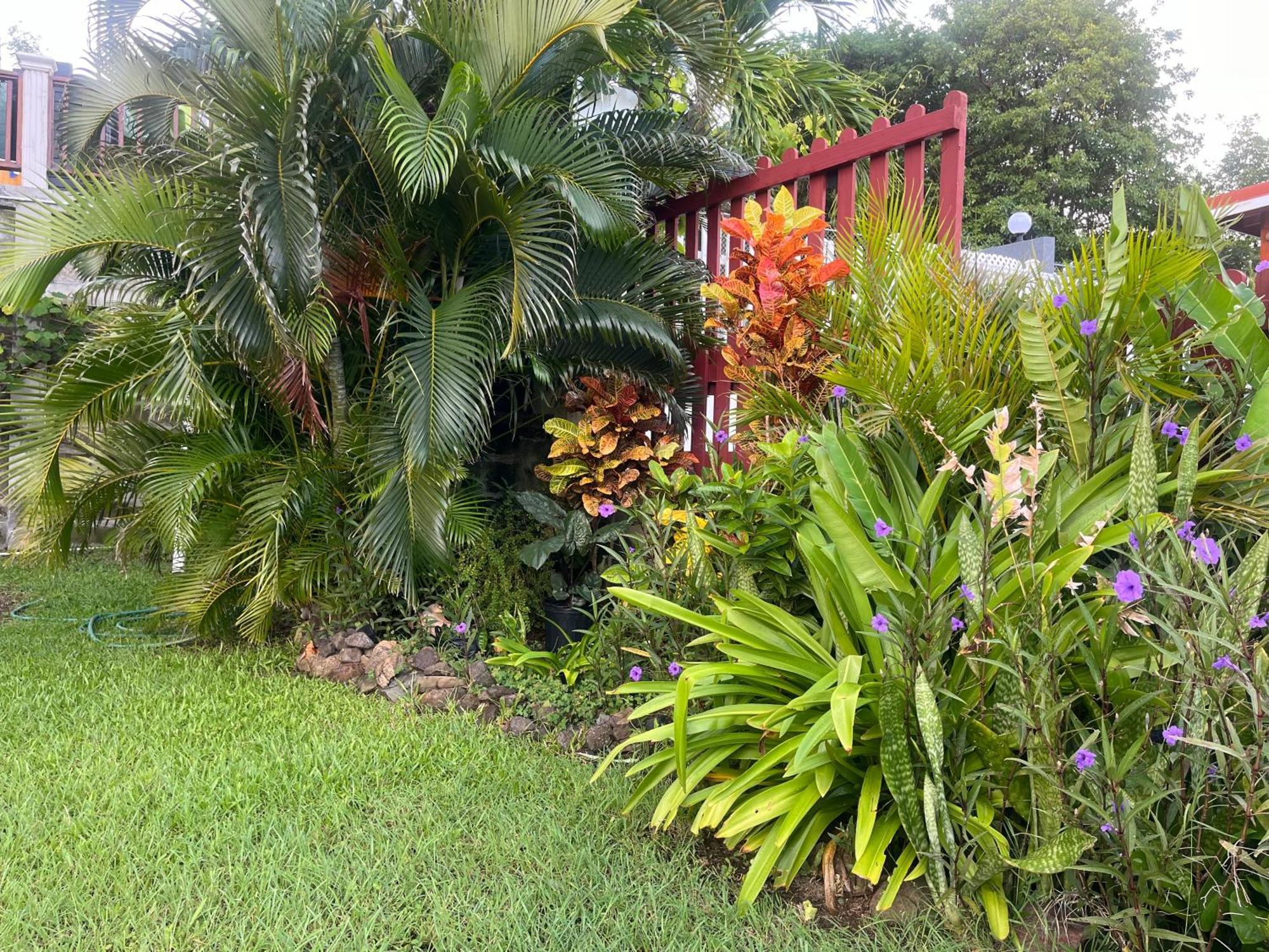 Apartmán Belle Breeze Haven Gros Islet Exteriér fotografie